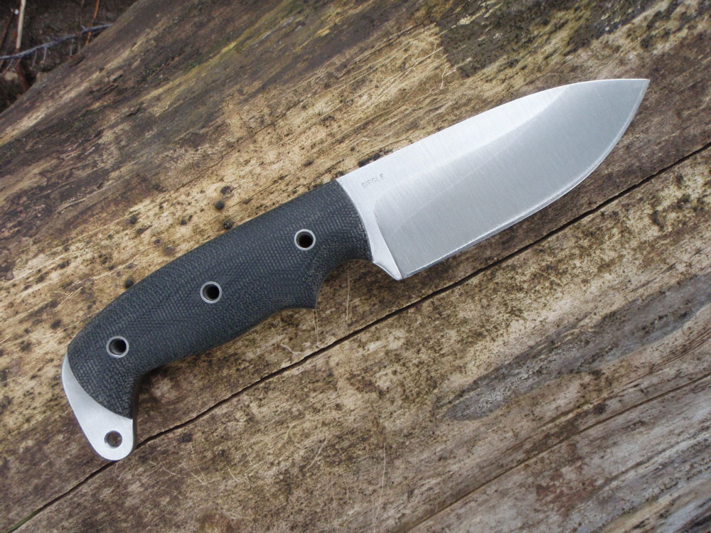 SiegleSAR-4.jpg