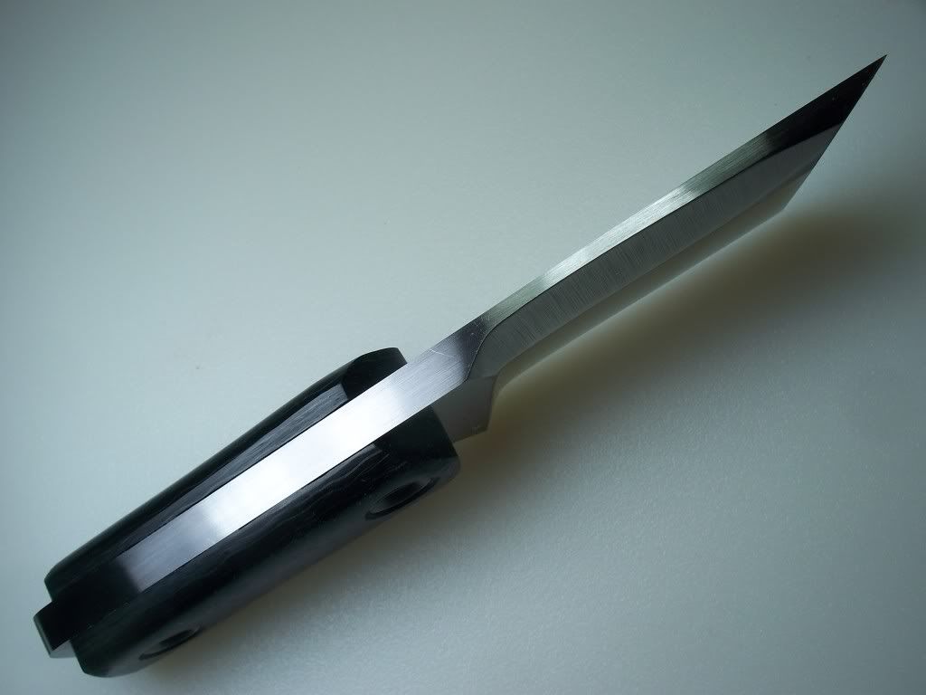 019-5.jpg