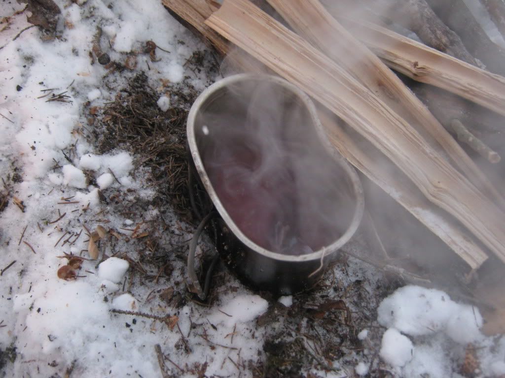 decemberbushcraft021.jpg