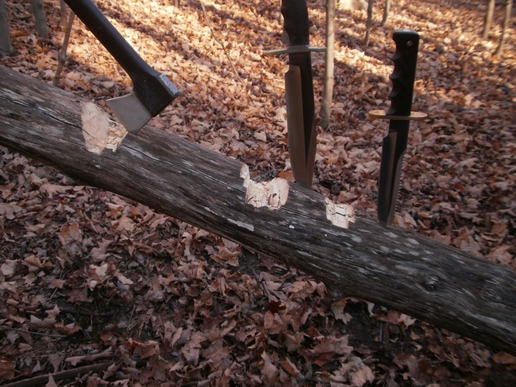 PA266703_zpsn4lamwqw.jpg