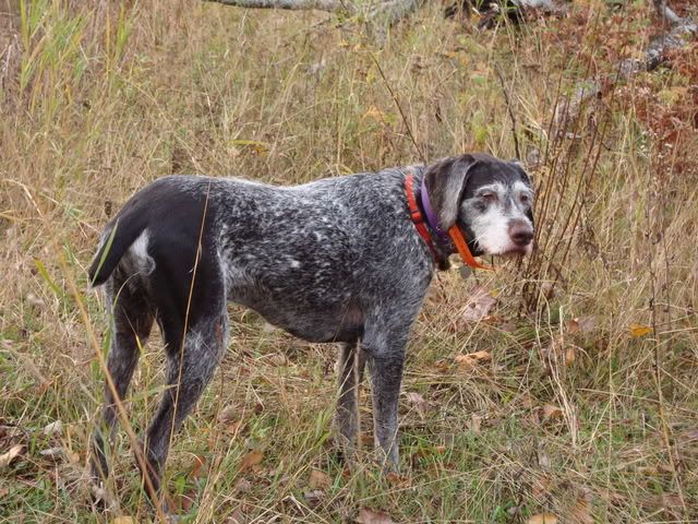 Grousehunting003.jpg