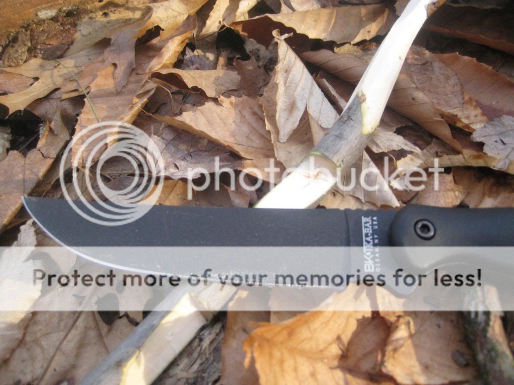 IMG_3468_zps57e942b6.jpg