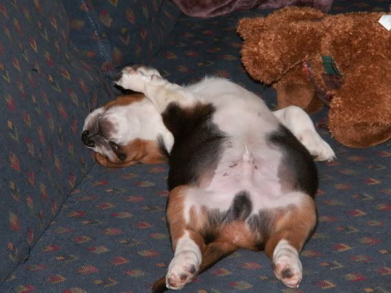 Picture033.jpg