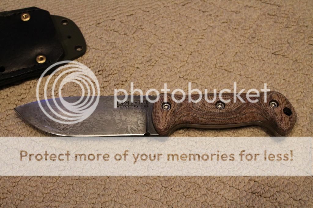 IMG_5179_zpsc97f26e2.jpg
