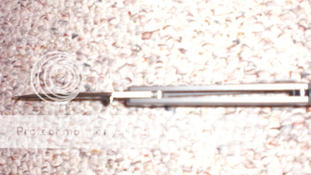 CIMG2279.jpg