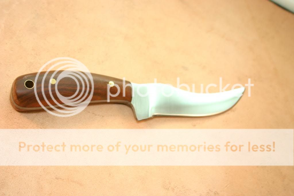IMG_4244_zps9e9978af.jpg