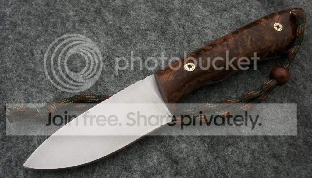 REDWOOD1095022.jpg