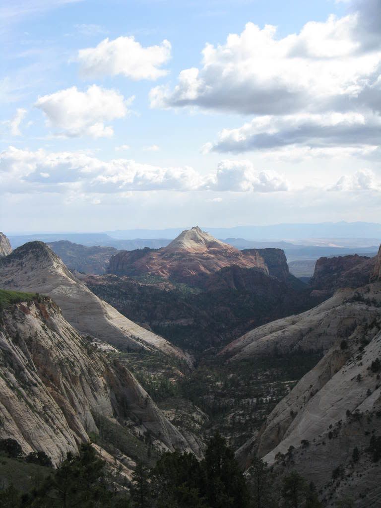 topofwildcatcanyon-1.jpg