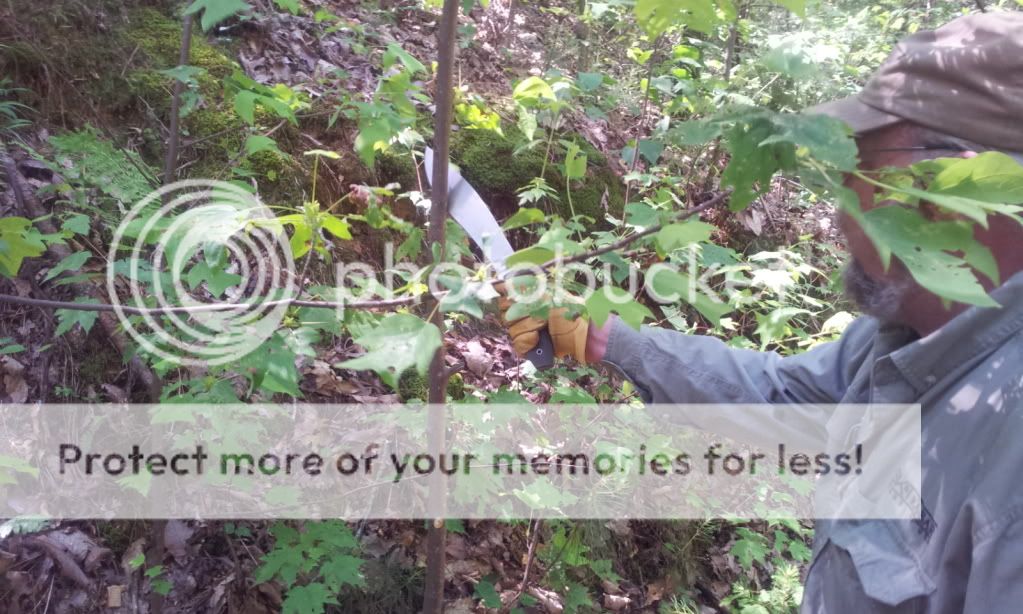 2012-05-10114750.jpg