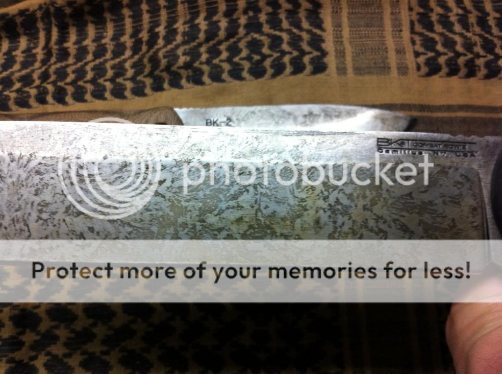 photo23.jpg