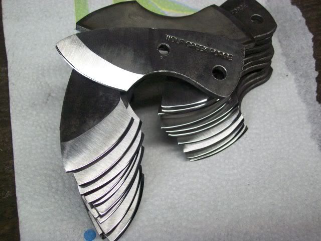 100_8090.jpg