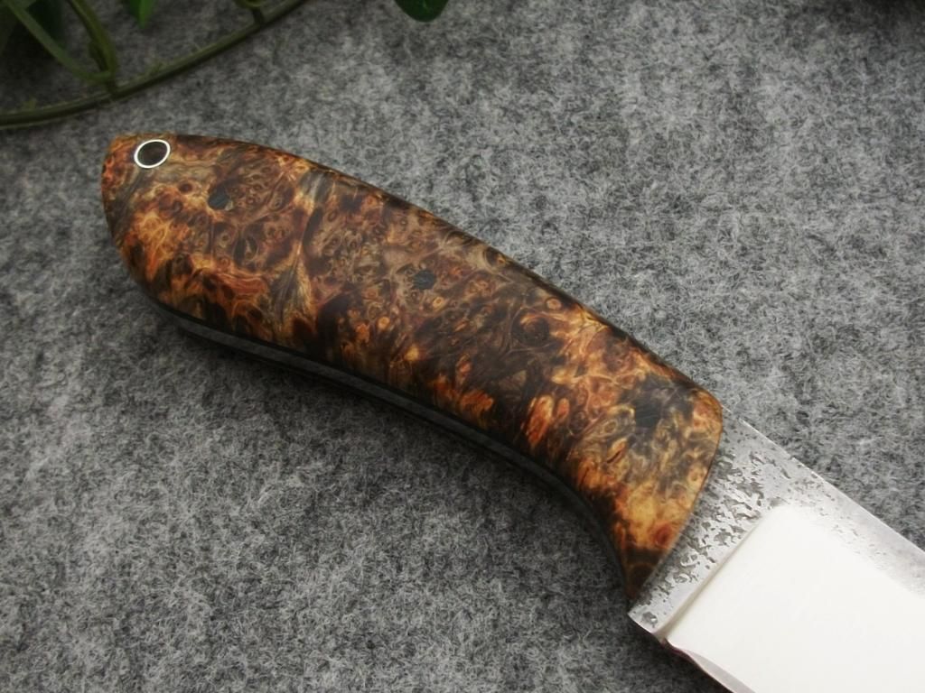 HP038.jpg