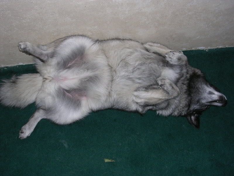 DSCN2366.jpg