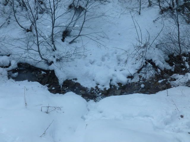 P1020235.jpg
