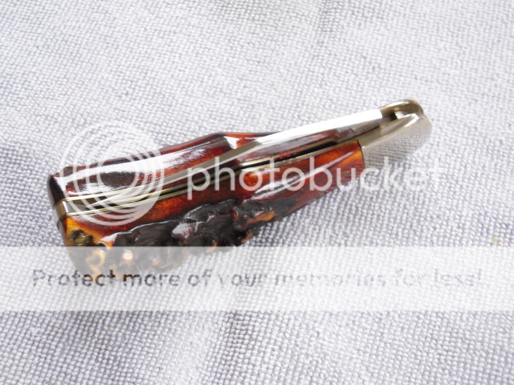 DSCN1132.jpg