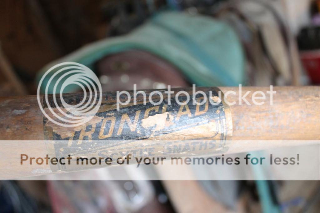 IMG_3371_zpsf17dcf01.jpg