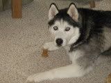IMG_0167.jpg