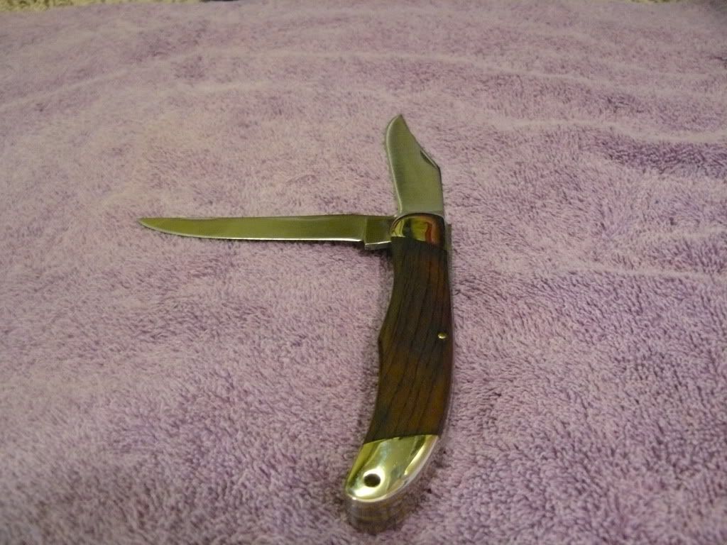 P1000237.jpg
