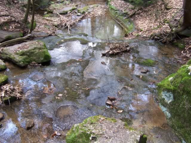 100_2911.jpg
