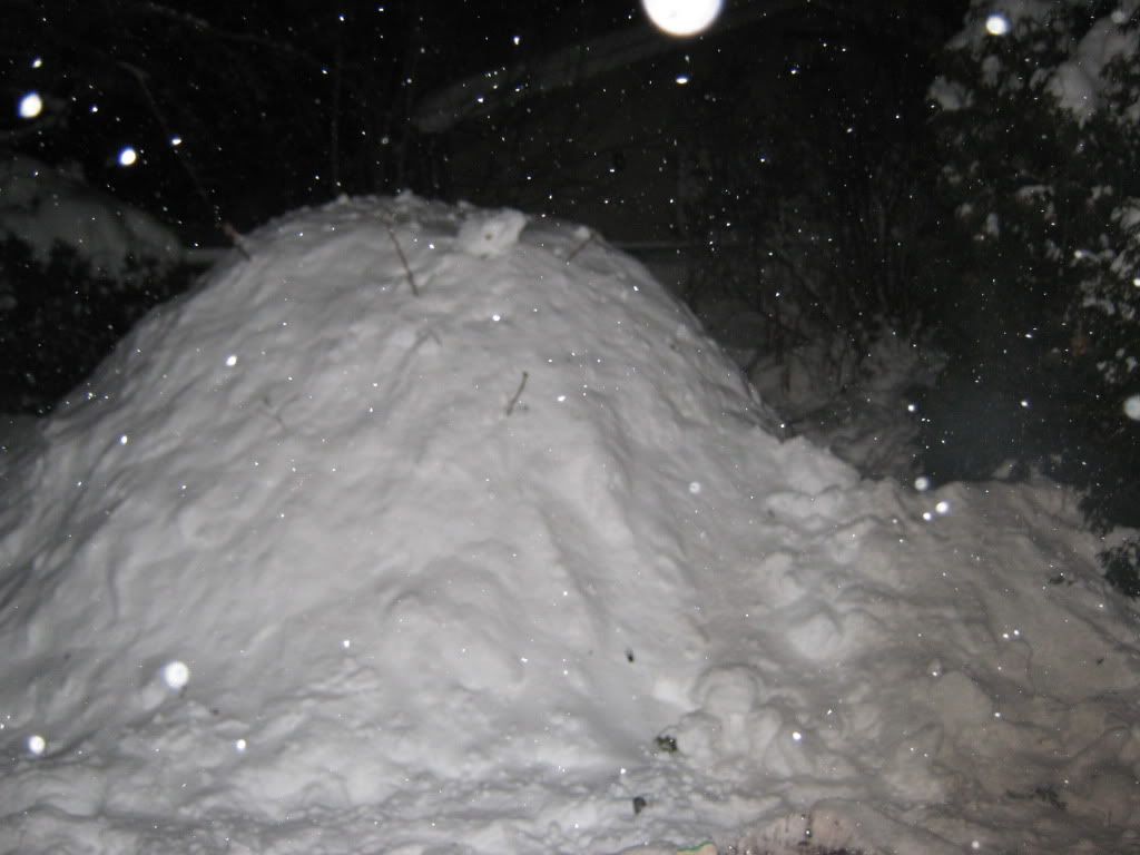 shelter1.jpg