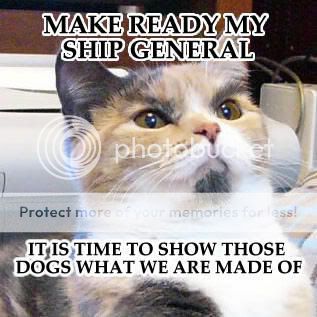 readyship.jpg