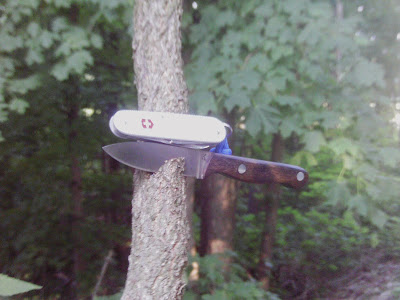 IMAG0164.JPG