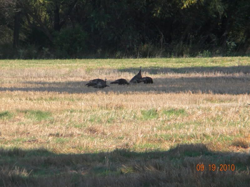 DSCN2864.jpg