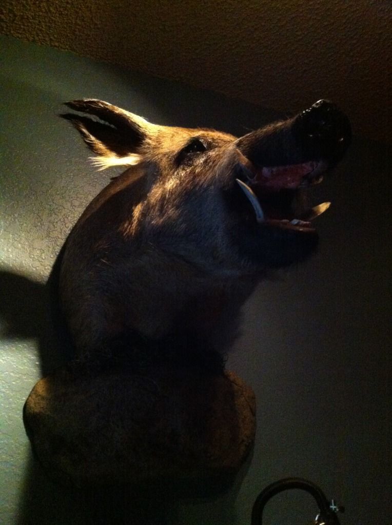 HogMount3.jpg