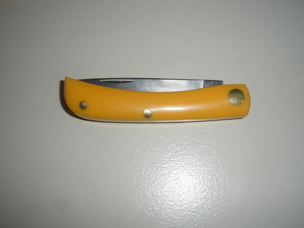 Picture008.jpg