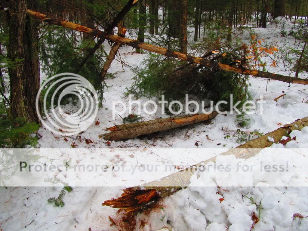 IMG_2261_zps319aeeac.jpg