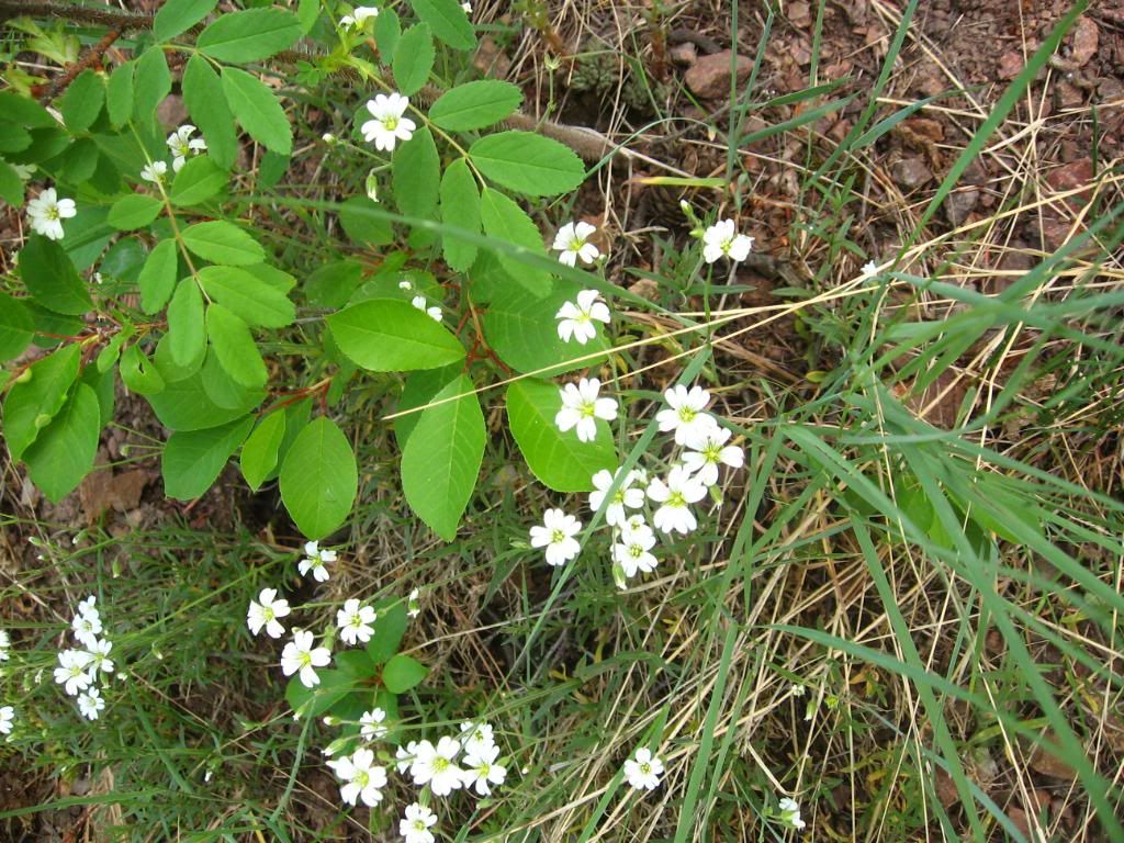 IMG_5444.jpg