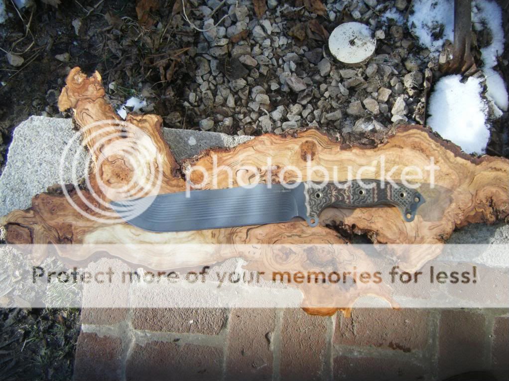 burl004-1-1.jpg