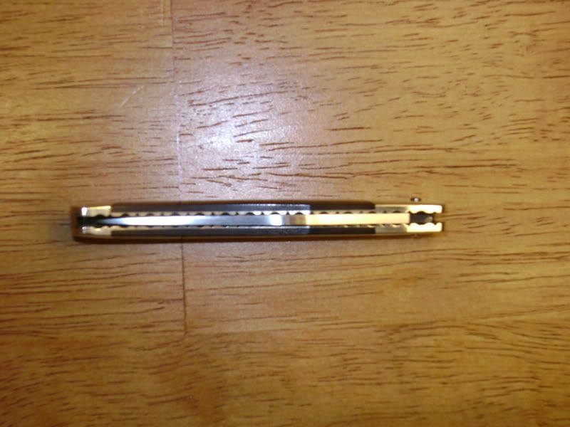 DSC00005.jpg