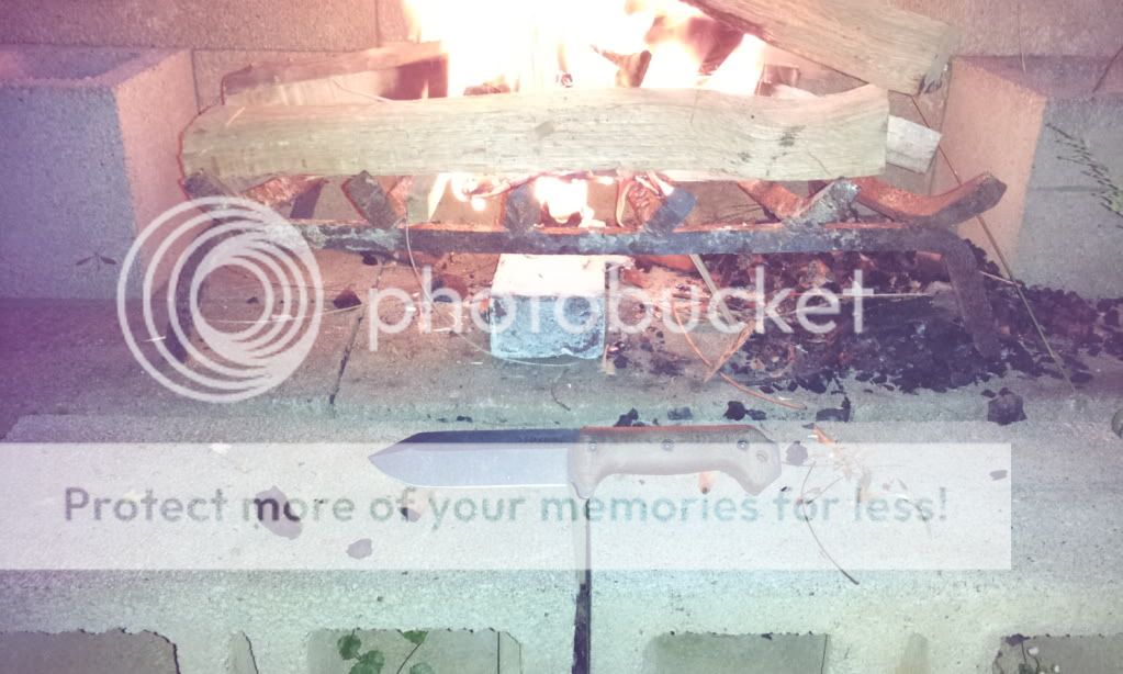 2012-04-11202209.jpg