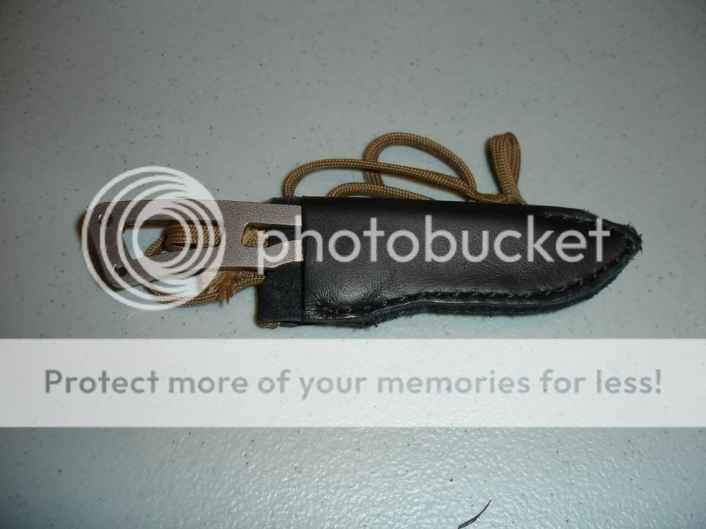 DSC07314.jpg