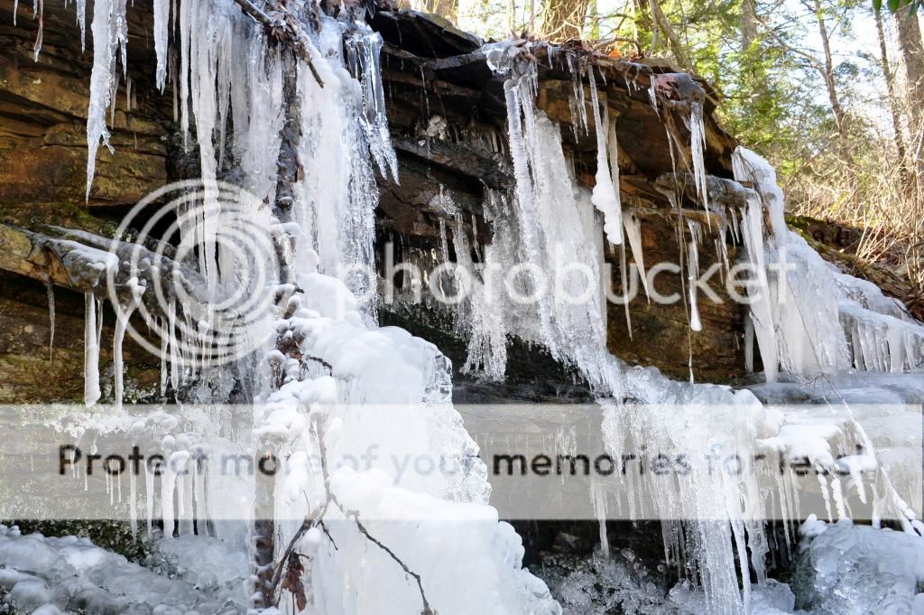 DSC_2281.jpg