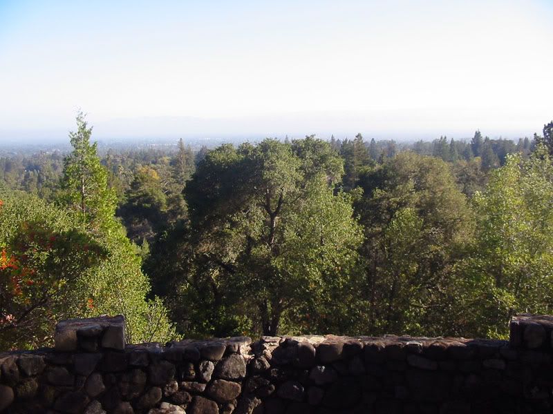 panorama.jpg