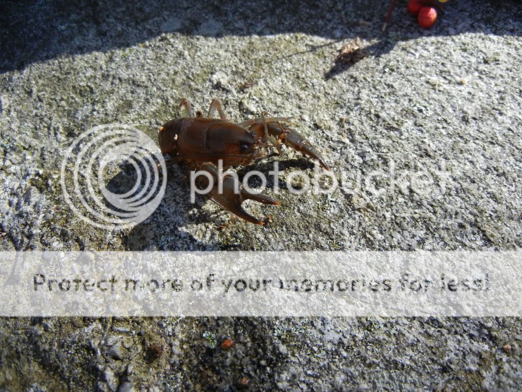 Newpics037.jpg