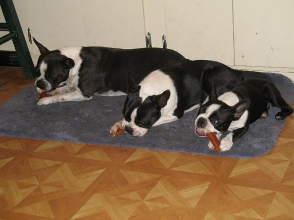 IMG_0782_2.jpg