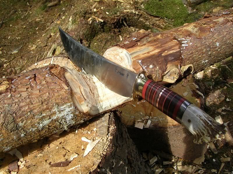 ScagelForesttestprecisionchop.jpg