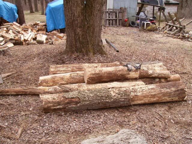 axe1-13008_zps779ef1a2.jpg