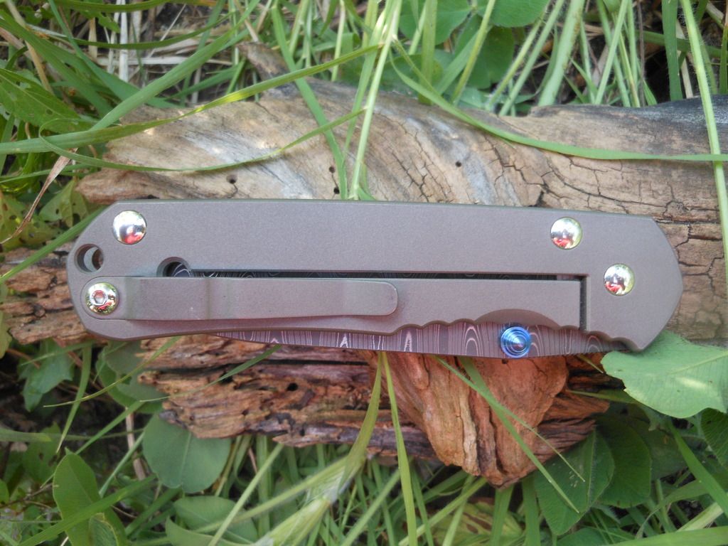 DSCN1296.jpg