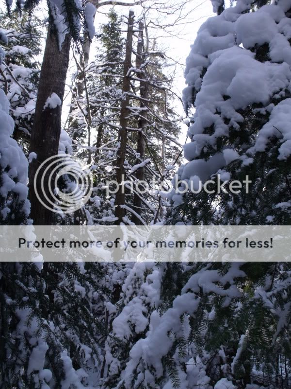 snowshoeslateDecember2001.jpg