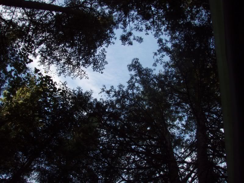 P1010271.jpg