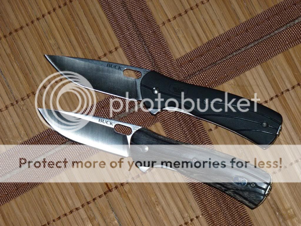 P1070436_zpse1c96c14.jpg
