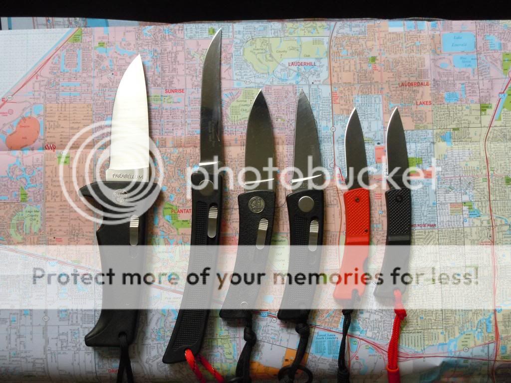 6Gerber_zps9797bb03.jpg