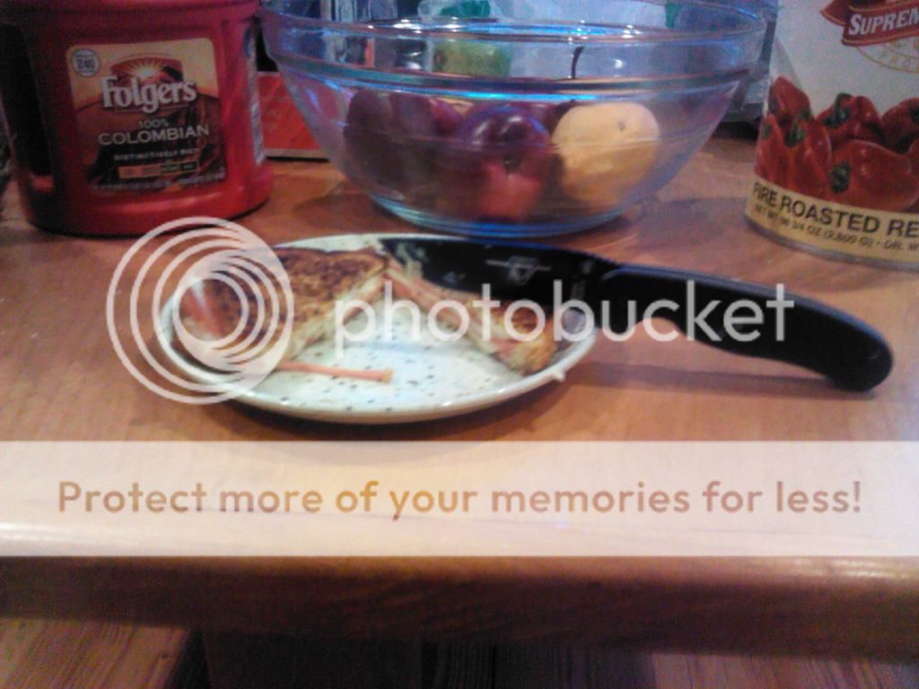 IMG_20130106_160136_zps5a357662.jpg