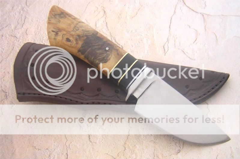 DSCN1518.jpg