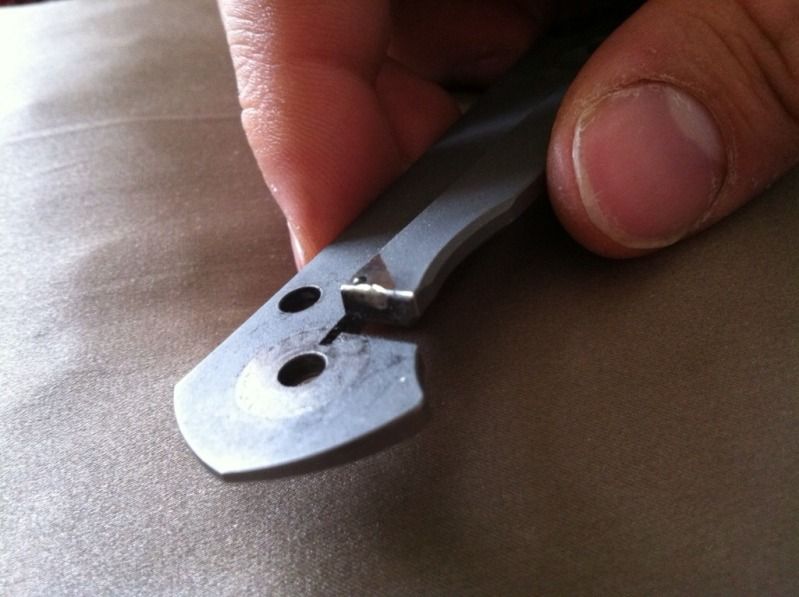 89f33ec9.jpg