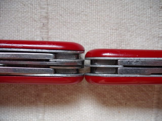 DSCF0534.jpg
